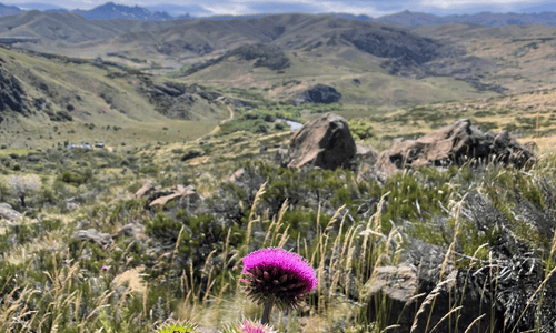 Patagonia Landscape near Estancia Quilmahue