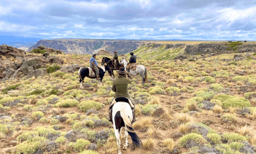 Horseback Riding at Estancia Quilmahue